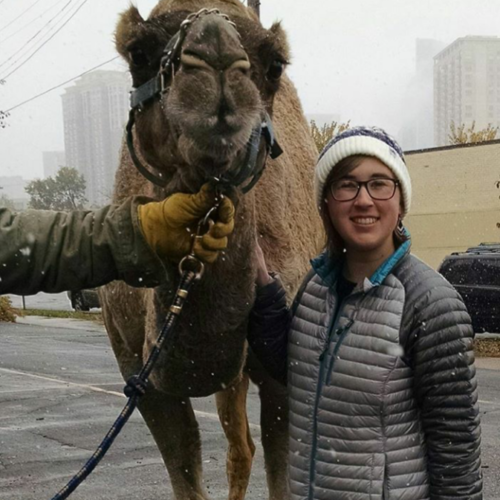 hunter with a camel